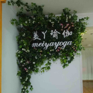 圣雅瑜伽