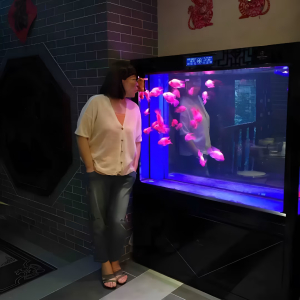 漂起来兽屈缠福