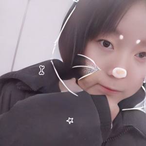 凌晴RH6