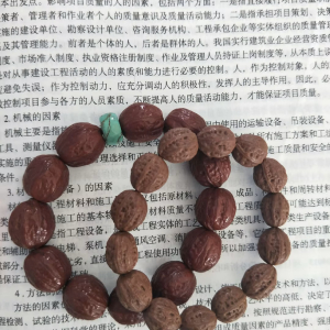 八级大狂风T29图8