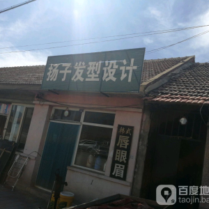 杨子发型设计