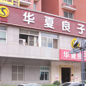 华夏良子(中关村精品店)