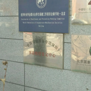 世界针灸学会联合会养生保健工作会
