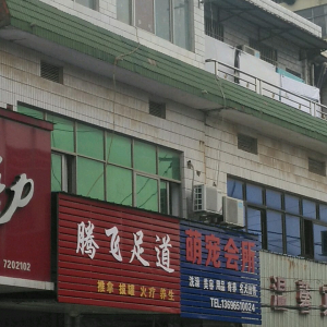 萌宠会所