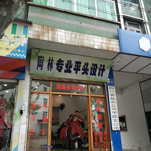 陶林专业平头设计