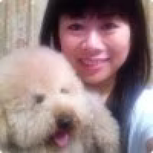 杨阳洋扬羊
