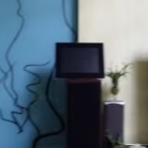 荷叶子
