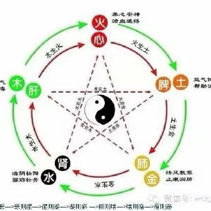 翠柏唯一图3