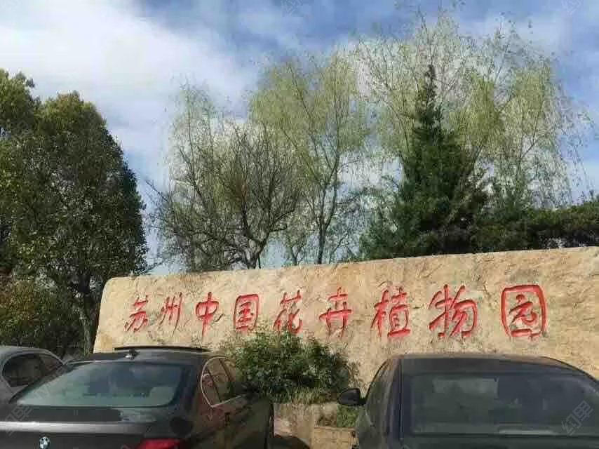 阳辉叶嘉