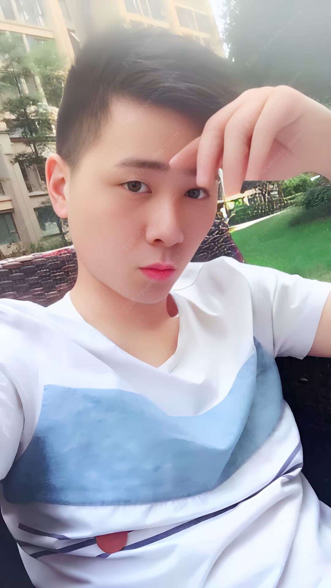 杨梅绿茶