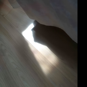 叶凡