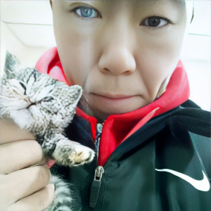爱吃鱼的猫
