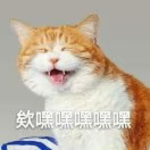 高风亮节的戴速酷