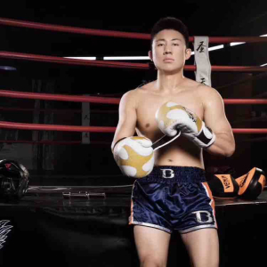 国之武林MMA