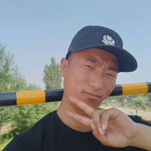梓桉树下葬己身