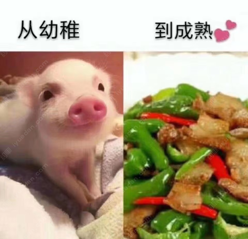 嘉玉索合合