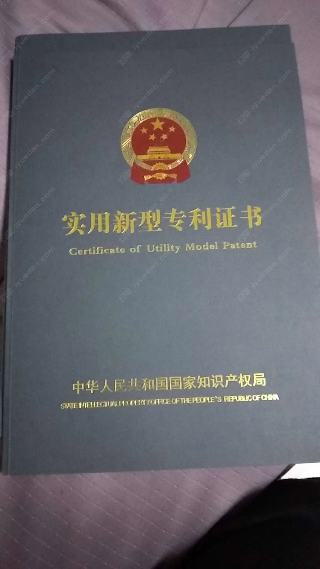 蔡玉东-专利商标