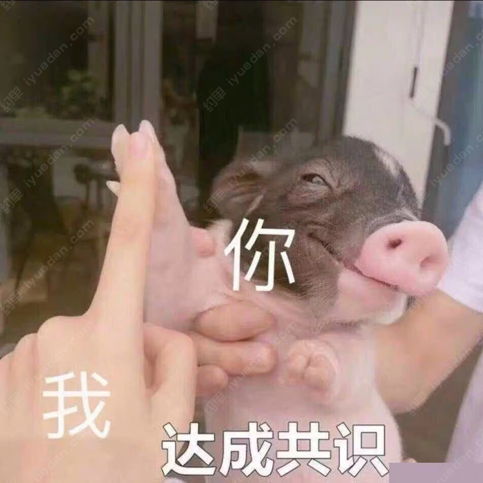 越帆逍遥