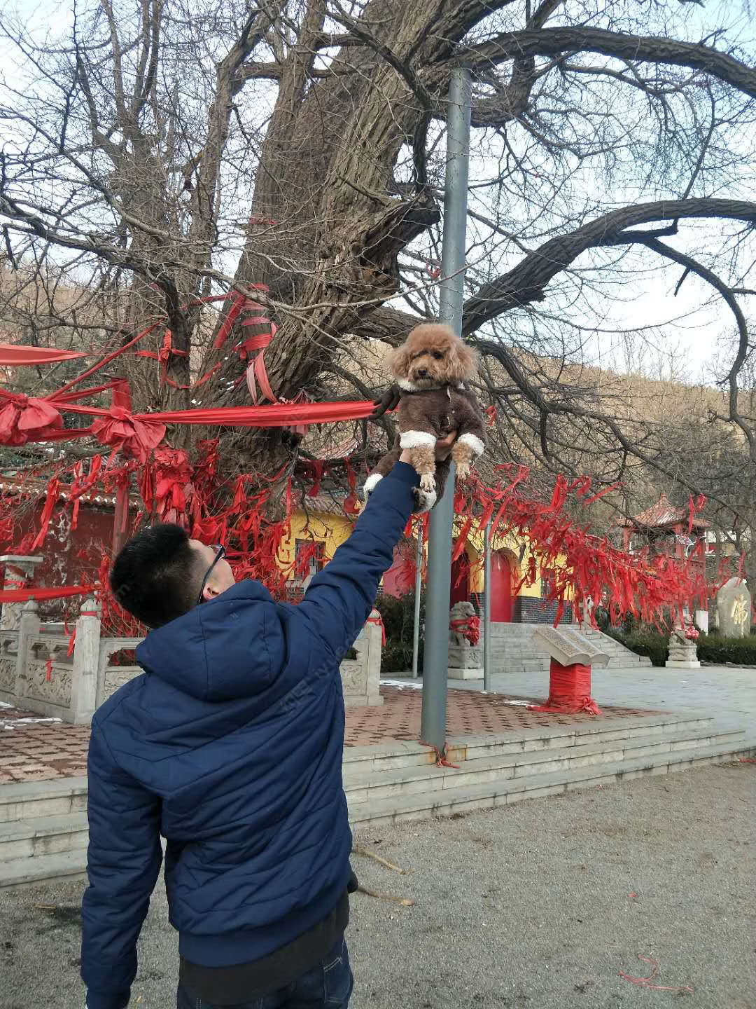 北京众鑫木业