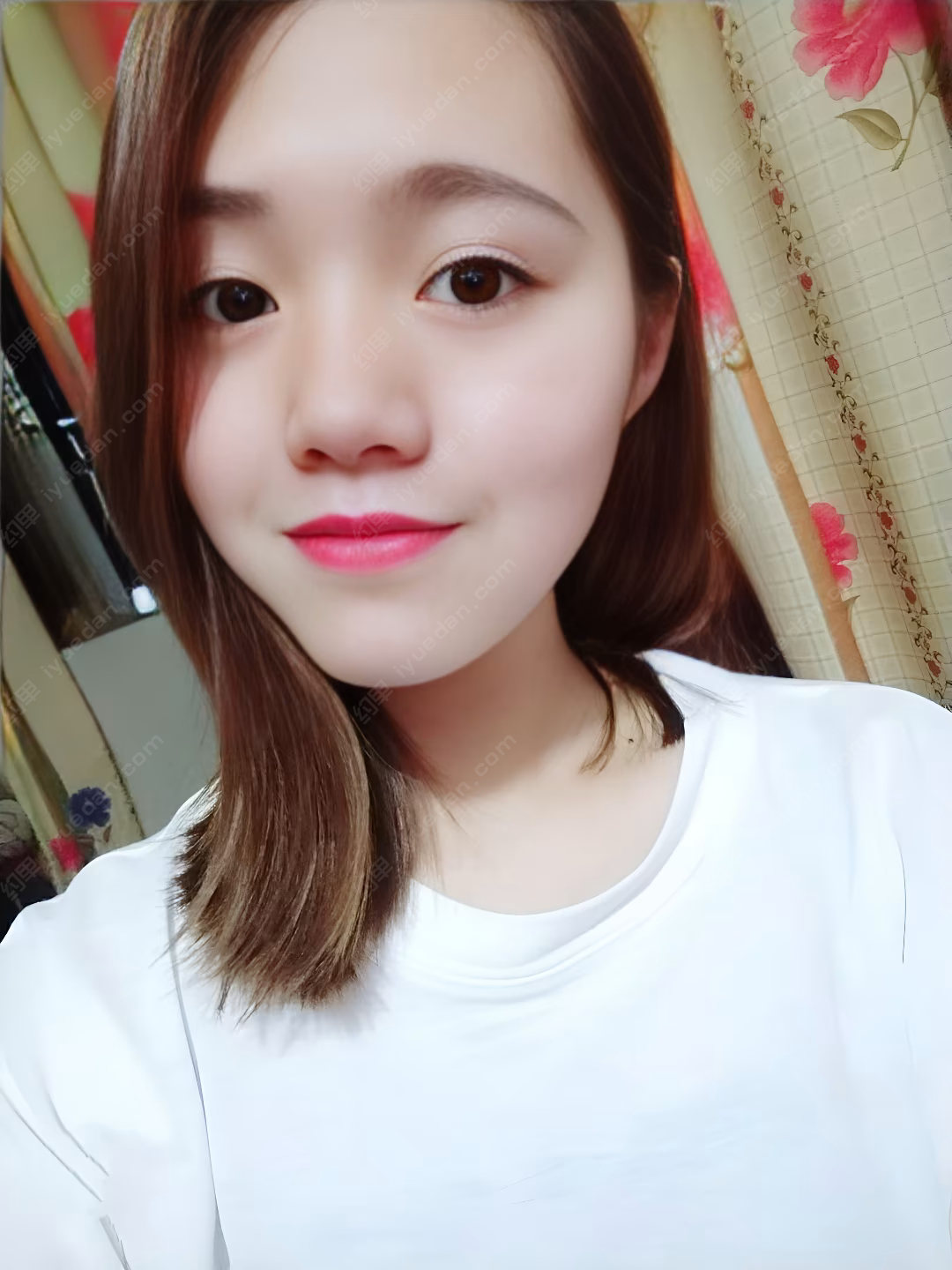 你的绿箭-