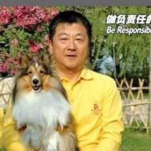 宣武阿童木