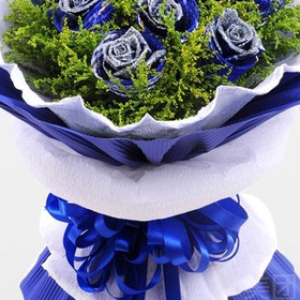 11朵蓝玫瑰  花束
