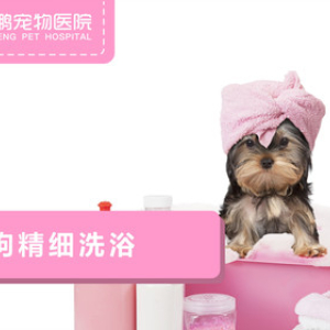 精细级洗浴(犬≤10kg）