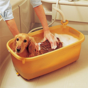 中型犬宠物洗澡