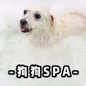 宠物奢华日本深层抚养泥SPA