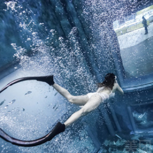 自由潜水体验