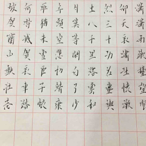 安梦辛劳图2