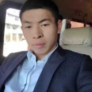 纯色的山柳