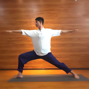 大宇yoga图2